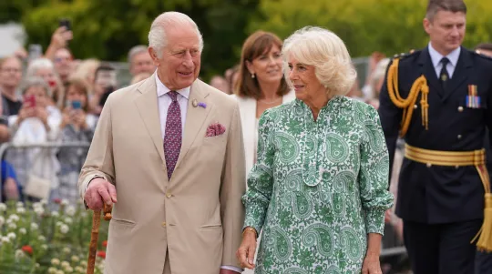 Camilla, Buku dan Gelagat Charles