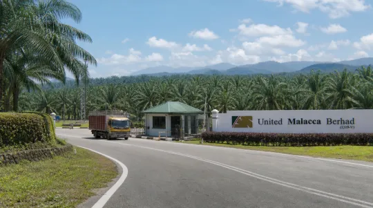 Prosper Trading Raih Pegangan 13.44%