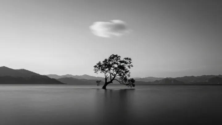 Minimalism Needs More Contrast