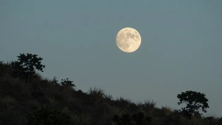 The Crescent Moon's Quiet Distraction