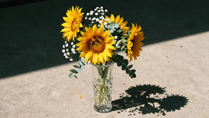 The Sunflower's Floral Secret