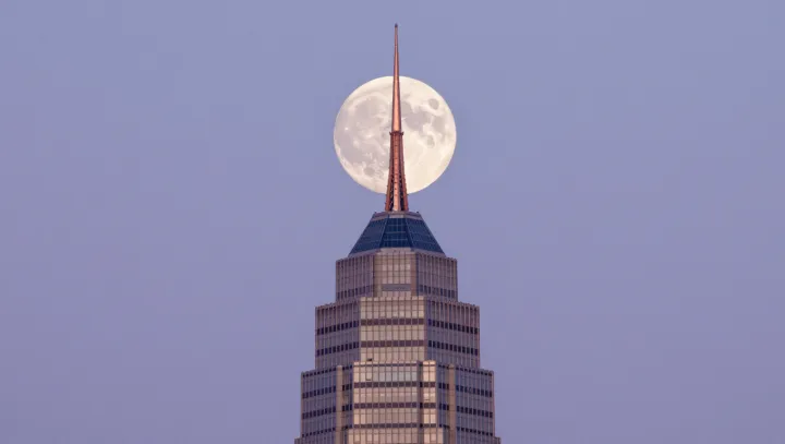 Moonlight Needs No Penthouse