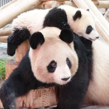 Cute