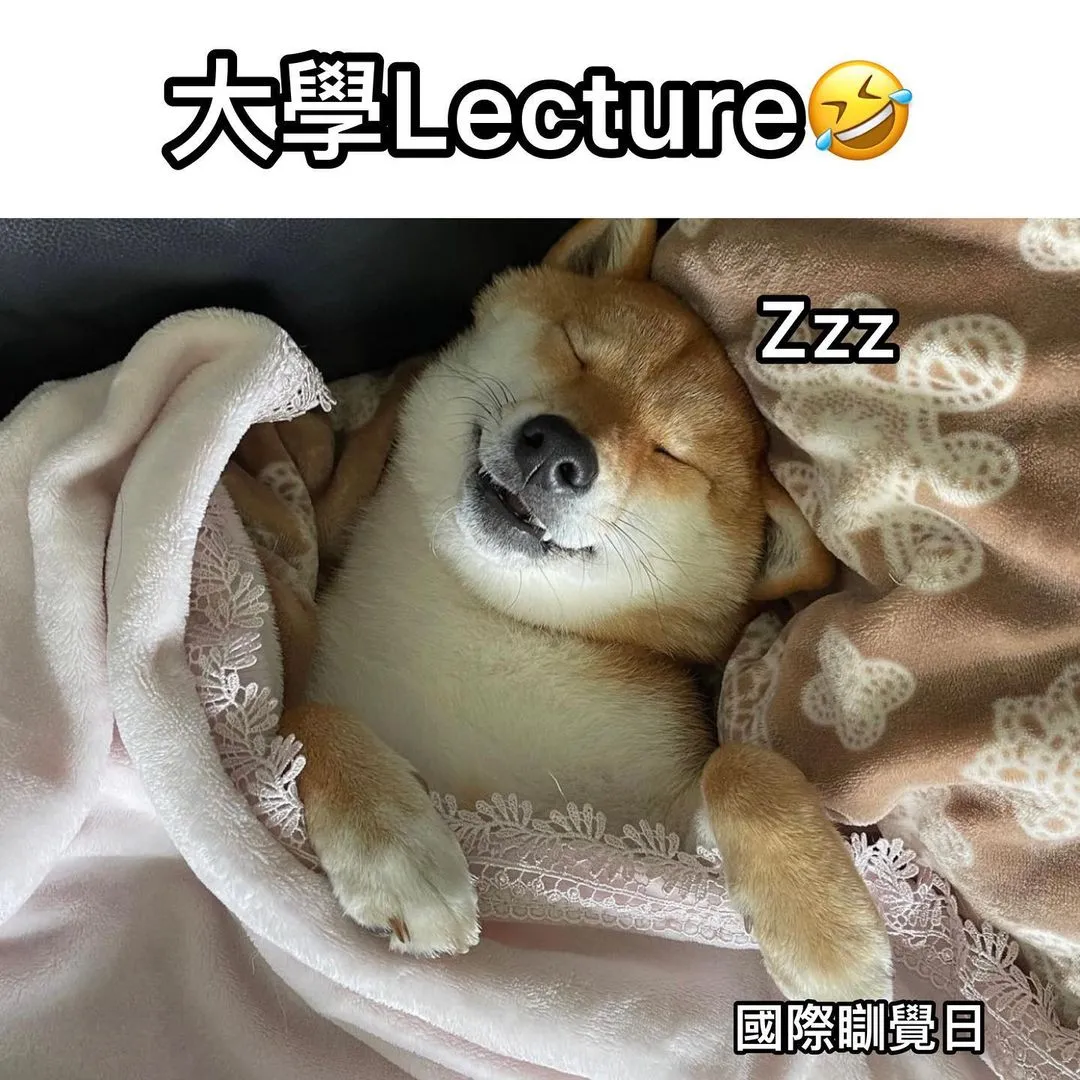 特別係呢種天氣，再加埋professor聲調🍂

🐱Follow @adorablecompany.hk
🐶Follow @adorablecompany.hk

.
.
.

圖片來源： 互聯網

#petmemesdaily #cat #dog #petmemes #cantonese #catlife #doglife #貓貓 #貓星人 #領養 #香港領養 #貓奴 #旺角美食 #銅鑼灣美食 #貓咪日常 #狗狗 #汪星人 #狗奴 #狗狗日常 #搞笑 #梗圖 #寵民 #貴婦狗之日常 #adorablecompany #hongkong #香港 #廣東話 #香港製造