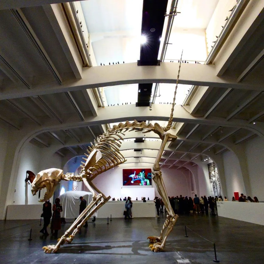 #mauriziocattelan  #798艺术区