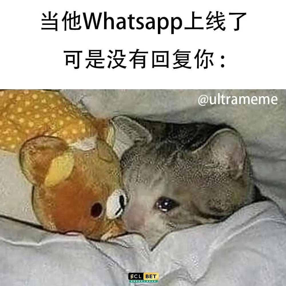 ☘️做IG网店是不是没有人PM ? 😌
🌟因为你缺少的是曝。光。率‼️
🌟我们的宣传方式已经帮助过超过💯家网店爆单💥
💌马上dm @ultramemeee 了解‼️
.
.
梗图赞组 : 要玩就玩最安全的 @eclbet 
#梗 #梗圖 #梗圖系列 #梗图 #梗图系列 #搞笑 #爆笑 #哈哈哈 #memes #有趣 #哈哈 #好笑 #梗文 #惡搞 #笑 #梗牙 #malaysiameme #malaysiamemes #mememalaysia #地狱梗 #梗圖大全