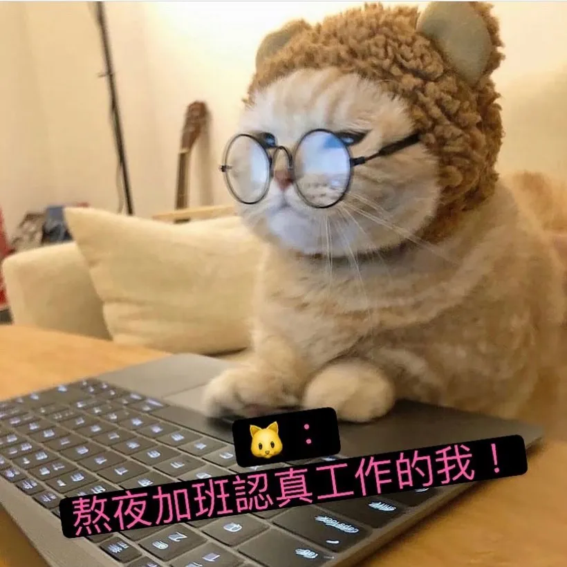 追蹤她 @mymemes_love
🐱：老闆該加我糧了吧！😅😂☺️

「內容由網路轉載」

 #搞笑 #笑死 #開心 #幸福 #快樂 #愛情
 #台灣 #日本 #韓國 #旅行 #旅遊 #景點
 #女神 #男神 #告白 #分享 #背景 #音樂
 #互讚 #愛你 #笑話 #喜歡 #喜愛 #寵物
 #音樂 #音響 #跑車 #愛車 #路跑 #跳舞