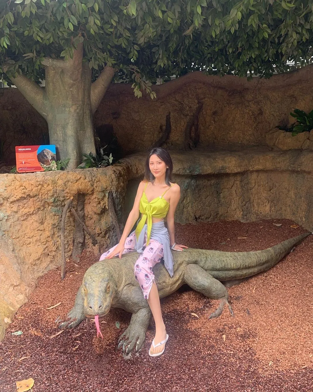 你未必光芒万丈 但始终温暖有光

#currumbinwildlifesanctuary #goldcoast #brisbane #zoo