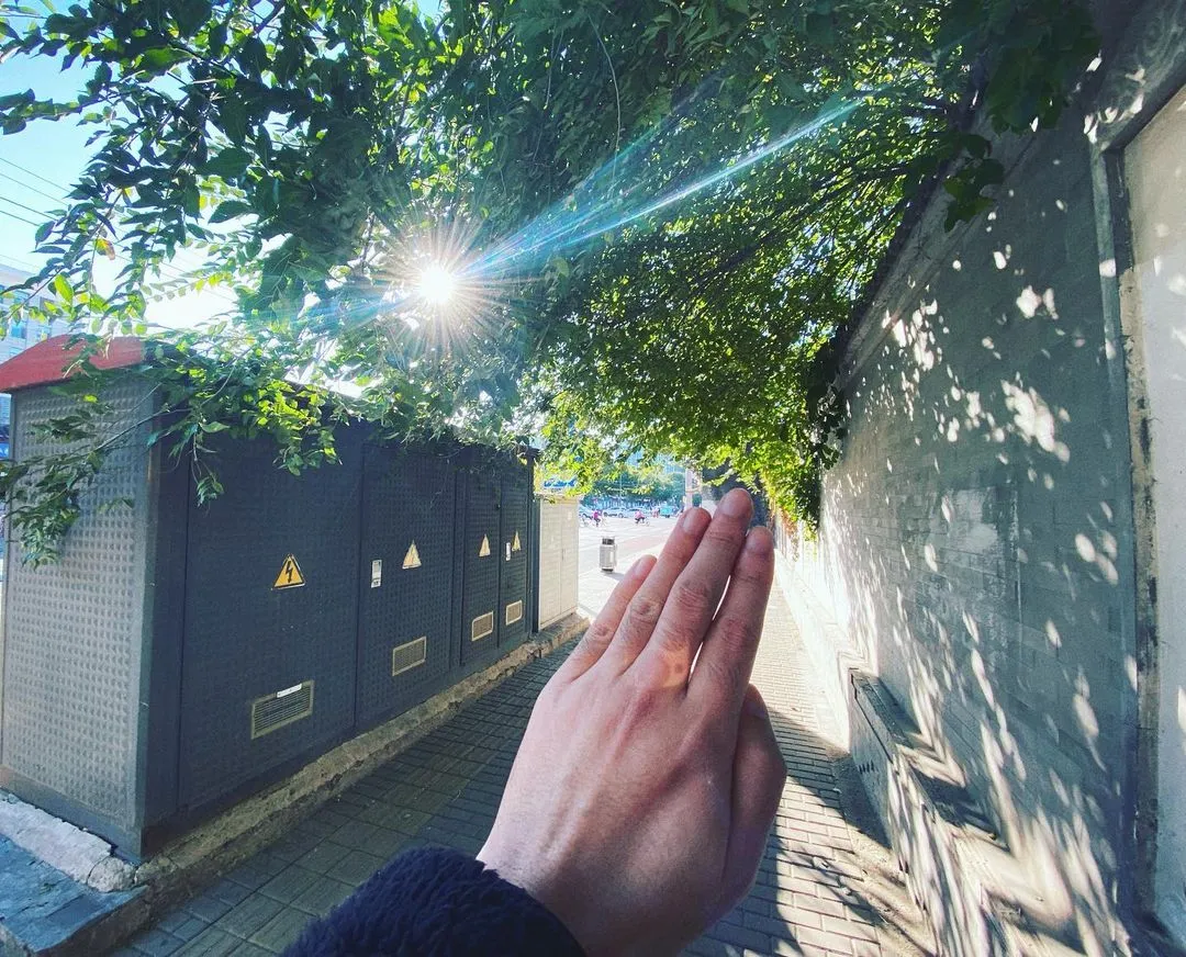 今天北京这阳光拍任何东西都附加好看滤镜啊。
图为我好看的手。