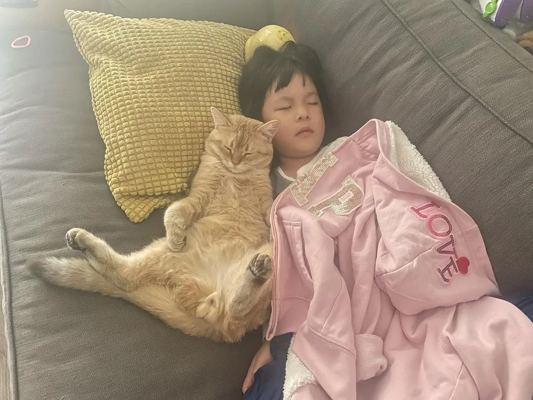 默默突然醒了和我说猫猫太重了 我话要唔要我抱走它？默默话唔洗了 然后又训翻着～只猫还一直打好大声既鼻鼾😅😂😂😂太好笑了