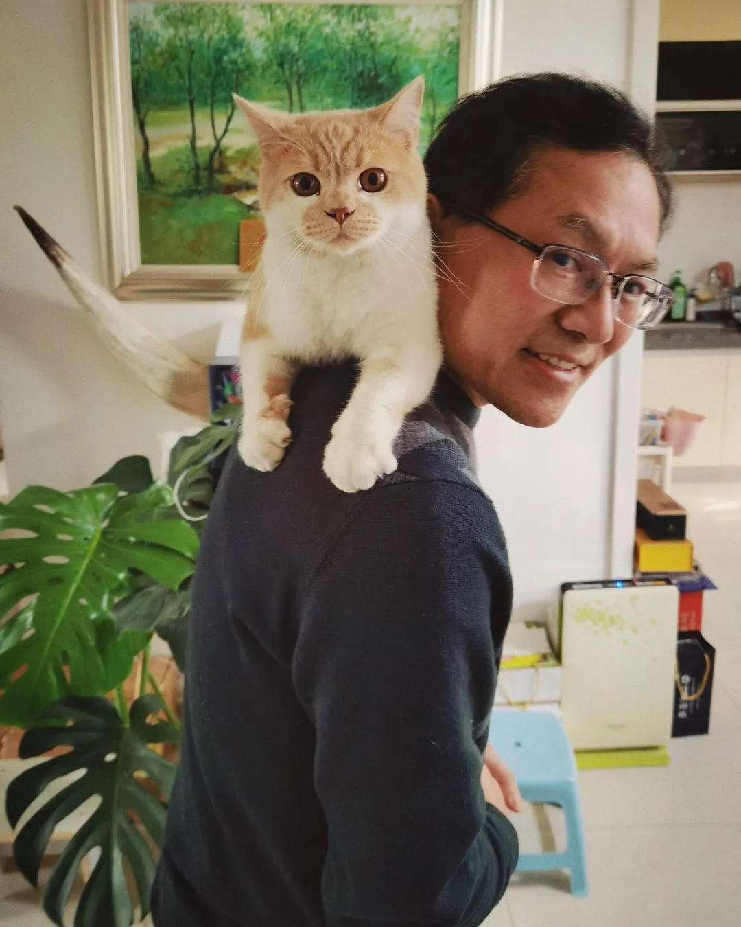 奶油和爸爸❤️🐈 #daddysbestfriend