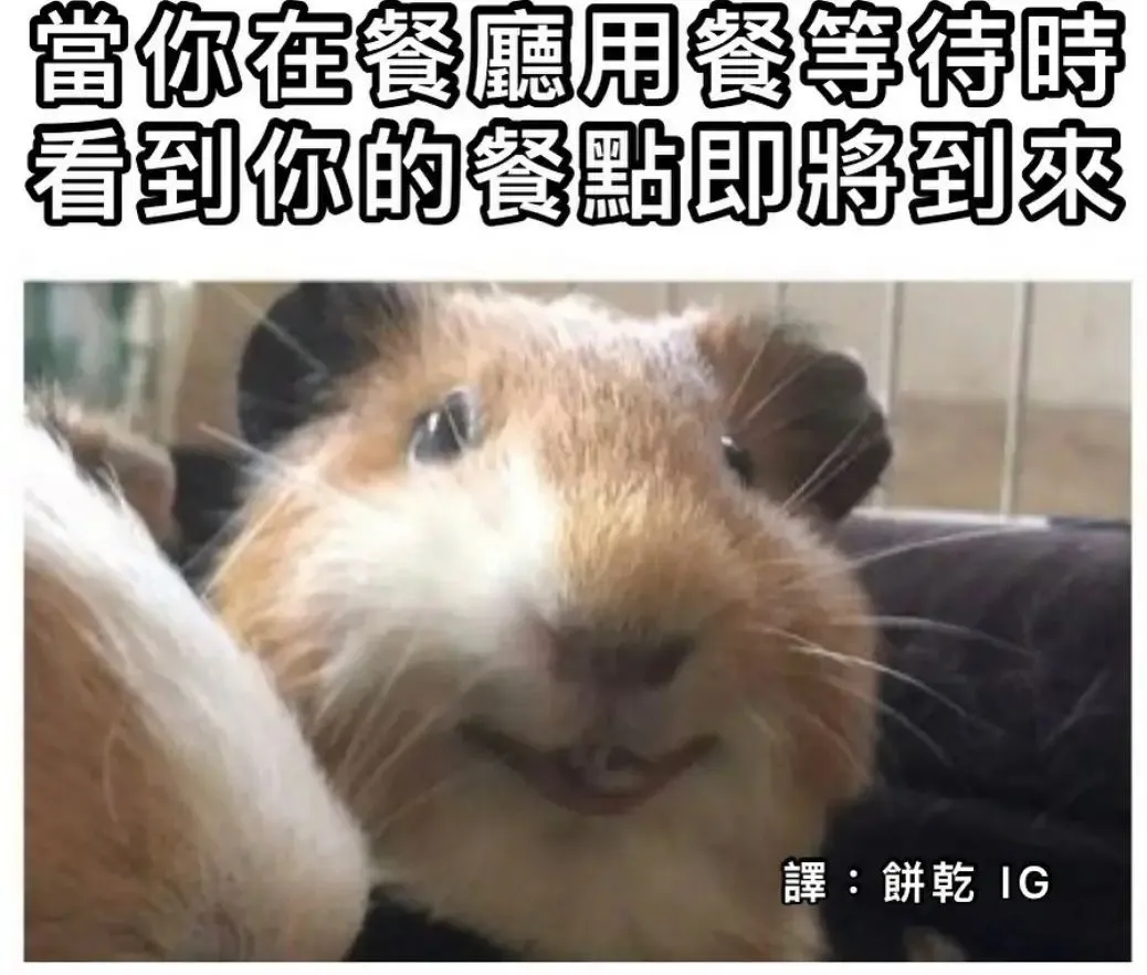 #迷因#梗圖#爆笑#memes#貼文#日常#梗#搞笑#迷因療法#梗圖大全#笑死#笑@cookies0912meme