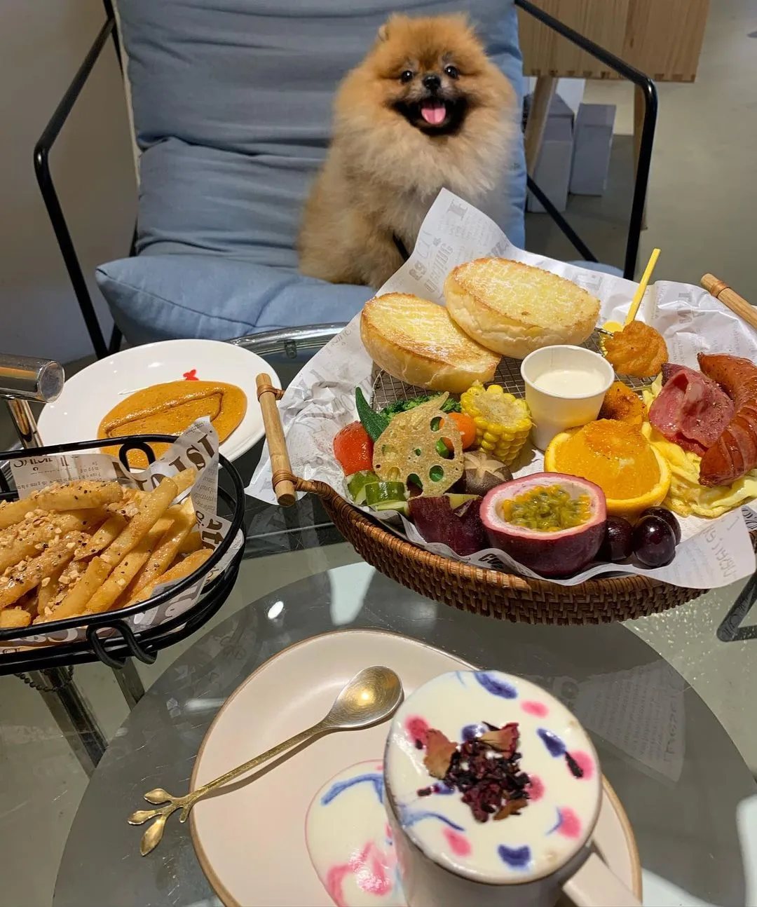 ❤️Afternoon 🫖 Tea❤️
#午茶時光 #teatime #pomeranian #博美 #博美犬 #椪糖