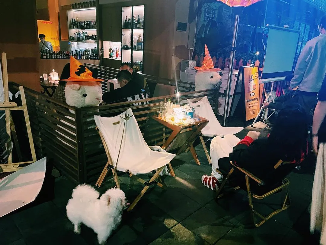 可可爱爱，还有脑袋👻
#🎃 #Halloween #citylife #instadailyphoto #puppy #night #vsco #themoment