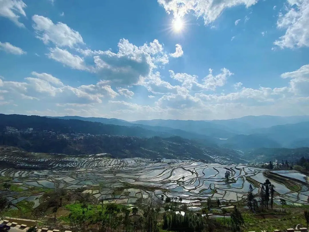⭐Honghe Hani Rice Terraces
 
✨The Honghe Hani Rice Terraces, located in Yunnan province, are a marvel of agricultural civilization created mainly by the Hani ethic people. It is widely known as "the most beautiful mountain ‘carvings’ in China."

✨With a history of more than 1,200 years, the Hani terraces are of a large scale, covering a total area of about 1 million acres. On June 22, 2013, the Honghe Hani Terraces were inscribed on the World Heritage List at the 37th World Heritage Conference.
 
⭐红河哈尼梯田
 
✨红河哈尼梯田位于云南省，是由以哈尼族为主的各族人民创造的农耕文明奇观。它被誉为“中国最美的山岭雕刻”。

✨哈尼梯田至今有1200多年历史，规模宏大，总面积约100万亩。2013年6月22日，在第37届世界遗产大会，红河哈尼梯田获准列入世界遗产名录。
 
 
Follow @starrynightmulticulture to know more about Chinese ethnic minorities and cultural diversity.
 
Photo by: Linhsi Li
Written by: 张梦真

#haniterraces #hani #landscape #ancientagriculture #cultivation