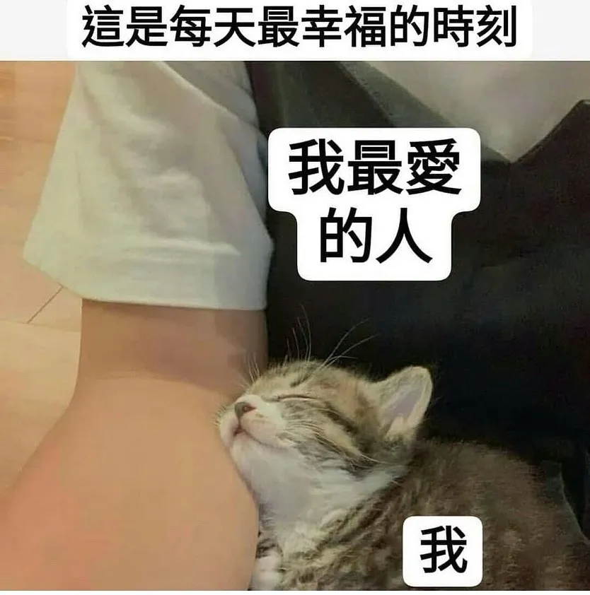 追蹤她 @memes_club_6688 
🐱：幸福時光！💖💖💖💖💖

「內容由網路轉載」

 #搞笑 #笑死 #開心 #幸福 #快樂 #愛情
 #台灣 #日本 #韓國 #旅行 #旅遊 #景點
 #女神 #男神 #告白 #分享 #背景 #音樂
 #互讚 #愛你 #笑話 #喜歡 #喜愛 #愛愛 
 #音樂 #音響 #跑車 #愛車 #路跑 #跳舞