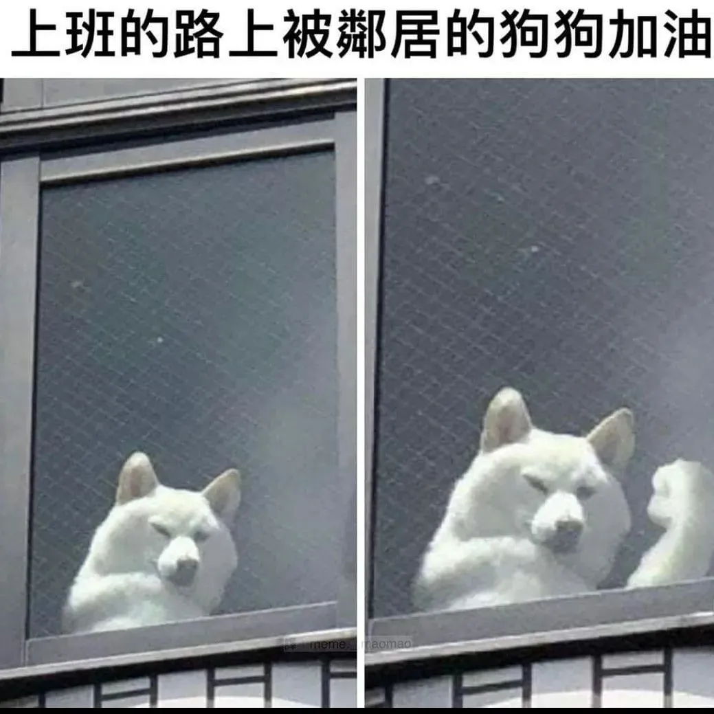 @pets_o0o #被狗加油 #狗狗 #迷因#梗圖#爆笑#memes#貼文#日常#梗#搞笑#迷因療法#梗圖大全#笑死#笑