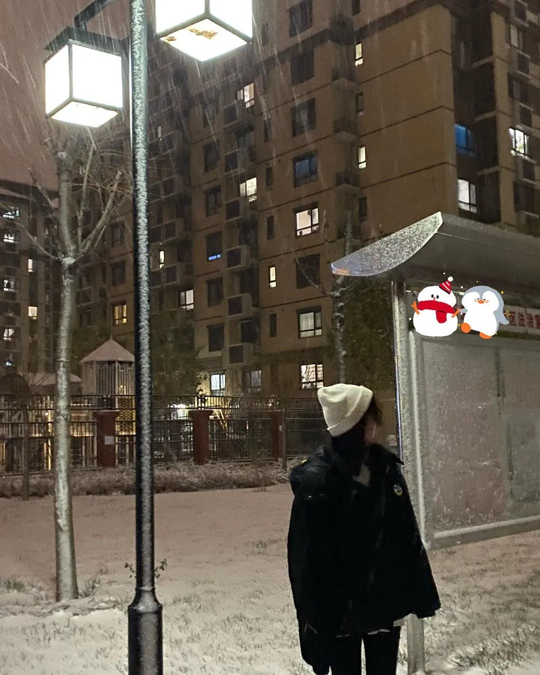 下雪啦❄️