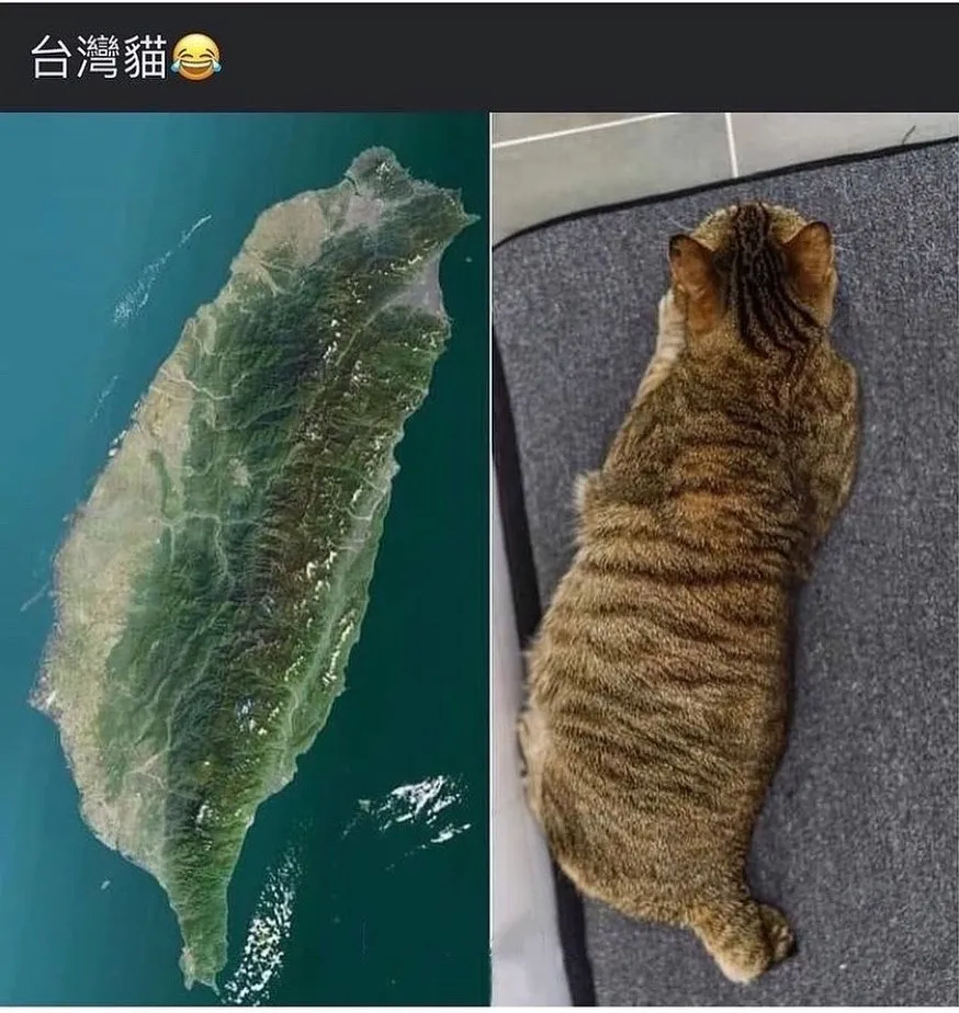 追蹤她 @memes__529453 
所謂的土生土長！😅😂🤣

「內容由網路轉載」

 #搞笑 #笑死 #開心 #幸福 #快樂 #愛情
 #台灣 #日本 #韓國 #旅行 #旅遊 #景點
 #女神 #男神 #告白 #分享 #背景 #音樂
 #互讚 #愛你 #笑話 #喜歡 #喜愛 #愛愛 
 #音樂 #音響 #跑車 #愛車 #路跑 #跳舞