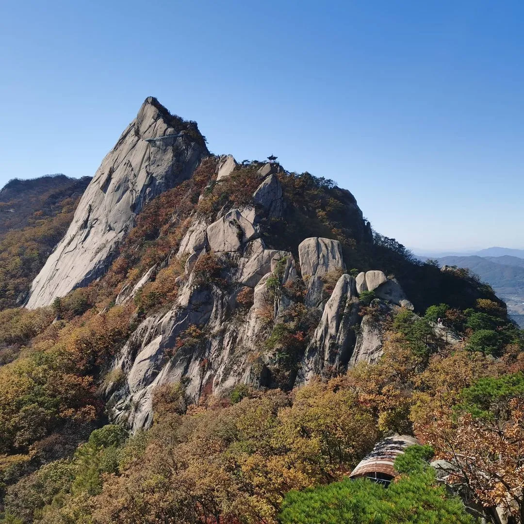 My soul has left my body after climbing Fenghuang Mountain.😢
#dandong #fengcheng #Liaoning #丹東 #丹东 #鳳城 #鳳凰山 #遼寧 #mountains #peak #凤城 #辽宁 #山
