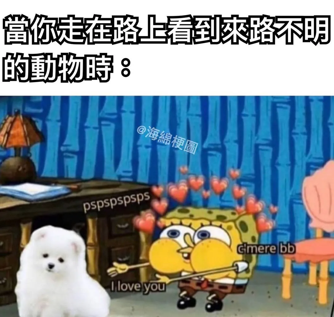 旺旺 喵喵 狗勾

#海綿梗圖 #海綿寶寶 #海綿寶寶梗圖 #梗圖#梗圖大全 #生活#日常#有趣#哈哈#搞笑#爆笑#寵物#貓咪 #狗 #可愛
