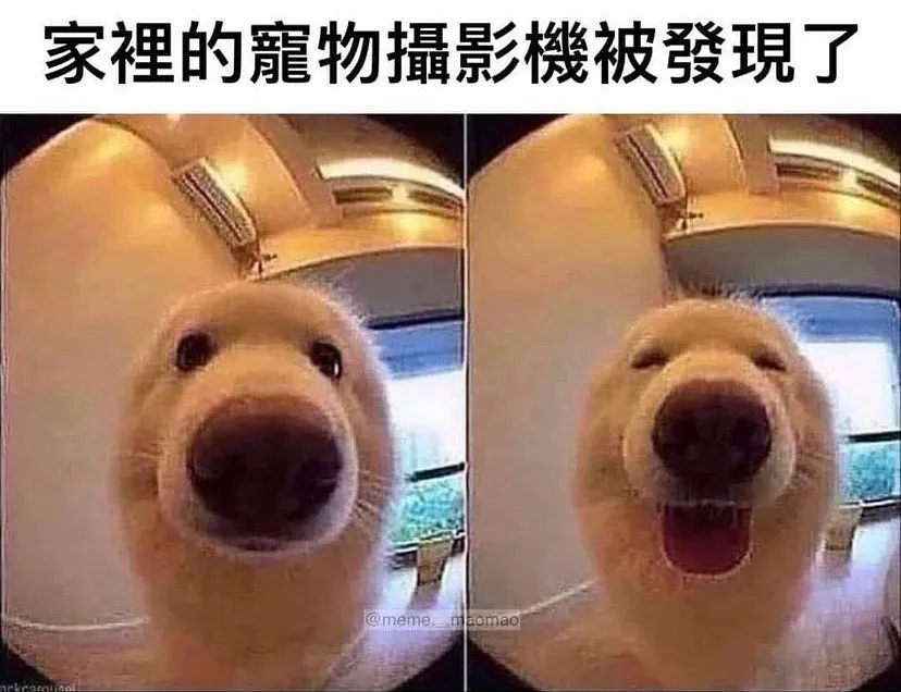 追蹤她 @mymemes_love
原來這是鏡子嗎？先笑一個！😅😂🤣

「內容由網路轉載」

 #搞笑 #笑死 #開心 #幸福 #快樂 #愛情
 #台灣 #日本 #韓國 #旅行 #旅遊 #景點
 #女神 #男神 #告白 #分享 #背景 #音樂
 #互讚 #愛你 #笑話 #喜歡 #喜愛 #寵物
 #音樂 #音響 #跑車 #愛車 #路跑 #跳舞