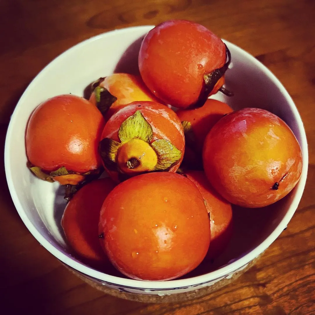 🍅火晶柿子🍅
