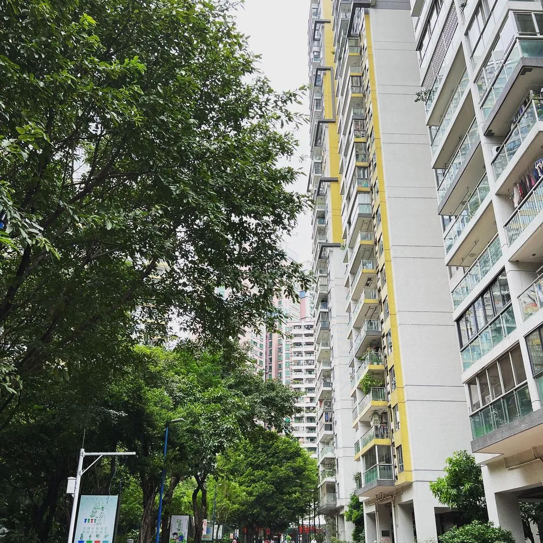 台风已经走了