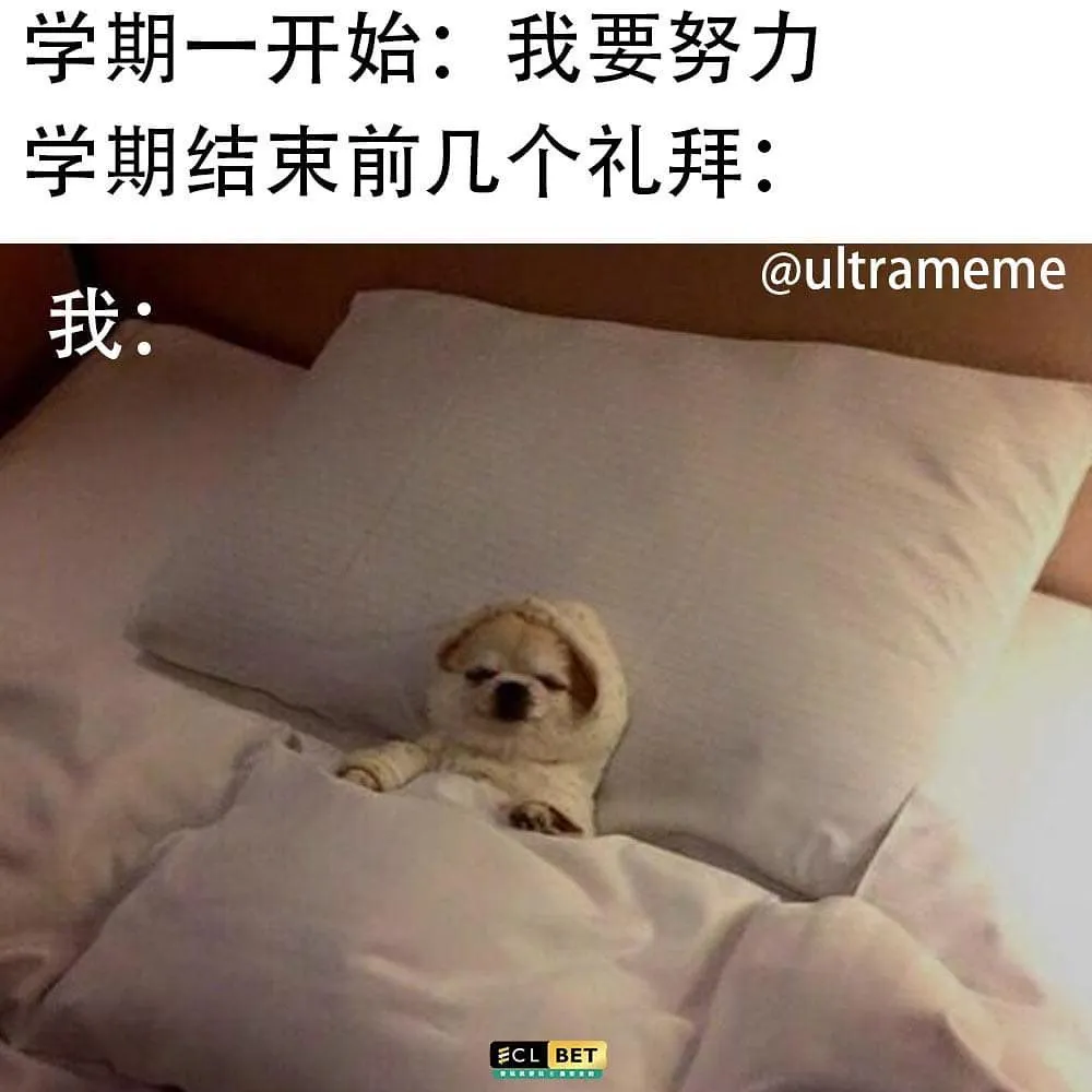 ☘️做IG网店是不是没有人PM ? 😌
🌟因为你缺少的是曝。光。率‼️
🌟我们的宣传方式已经帮助过超过💯家网店爆单💥
💌马上dm @ultramemeee 了解‼️
.
.
梗图赞组 : 要玩就玩最安全的 @eclbet 
#梗 #梗圖 #梗圖系列 #梗图 #梗图系列 #搞笑 #爆笑 #哈哈哈 #memes #有趣 #哈哈 #好笑 #梗文 #惡搞 #笑 #梗牙 #malaysiameme #malaysiamemes #mememalaysia #地狱梗 #梗圖大全