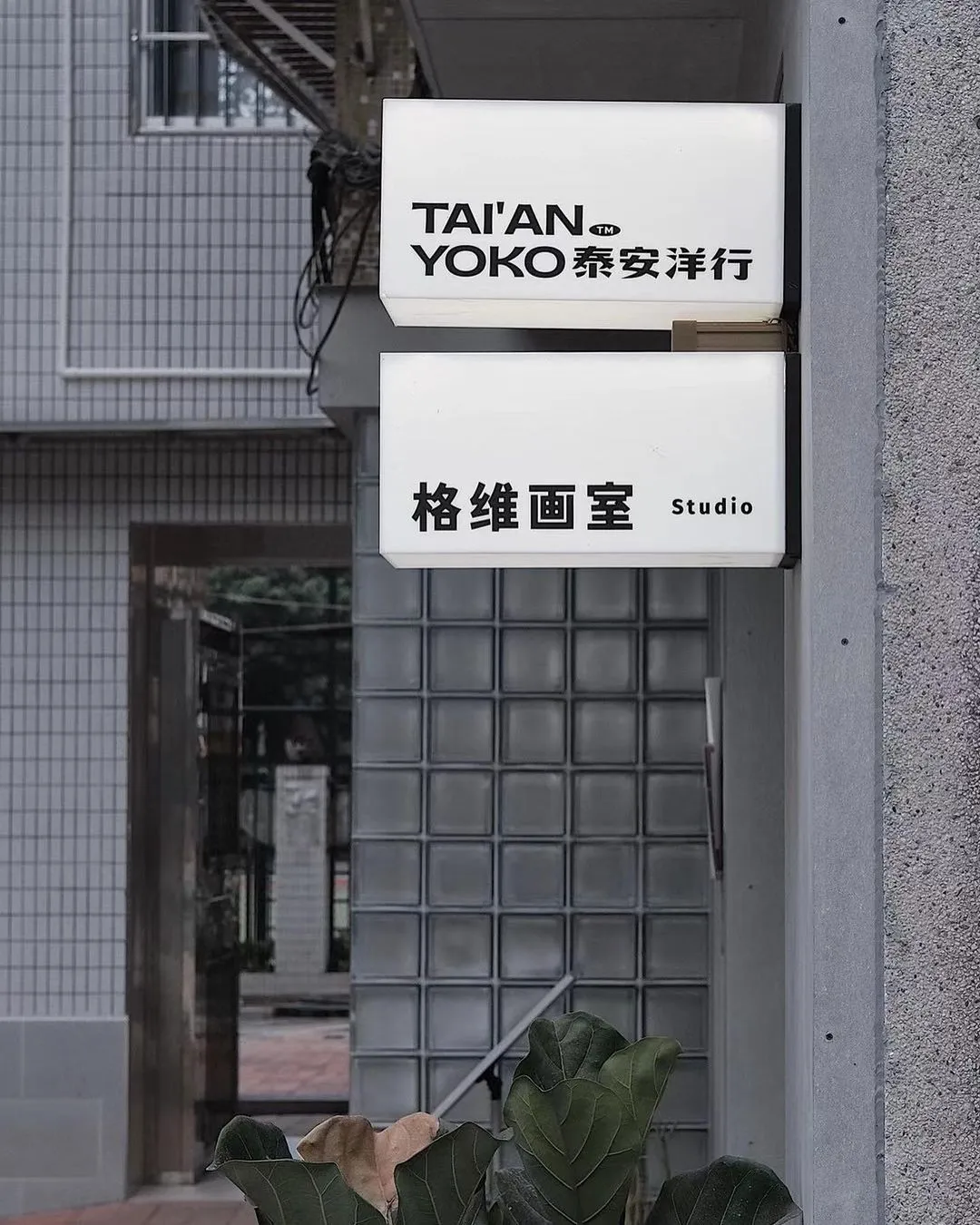 「唱片店是精神避難所」
廣東 TAIANYOKO 泰安洋行