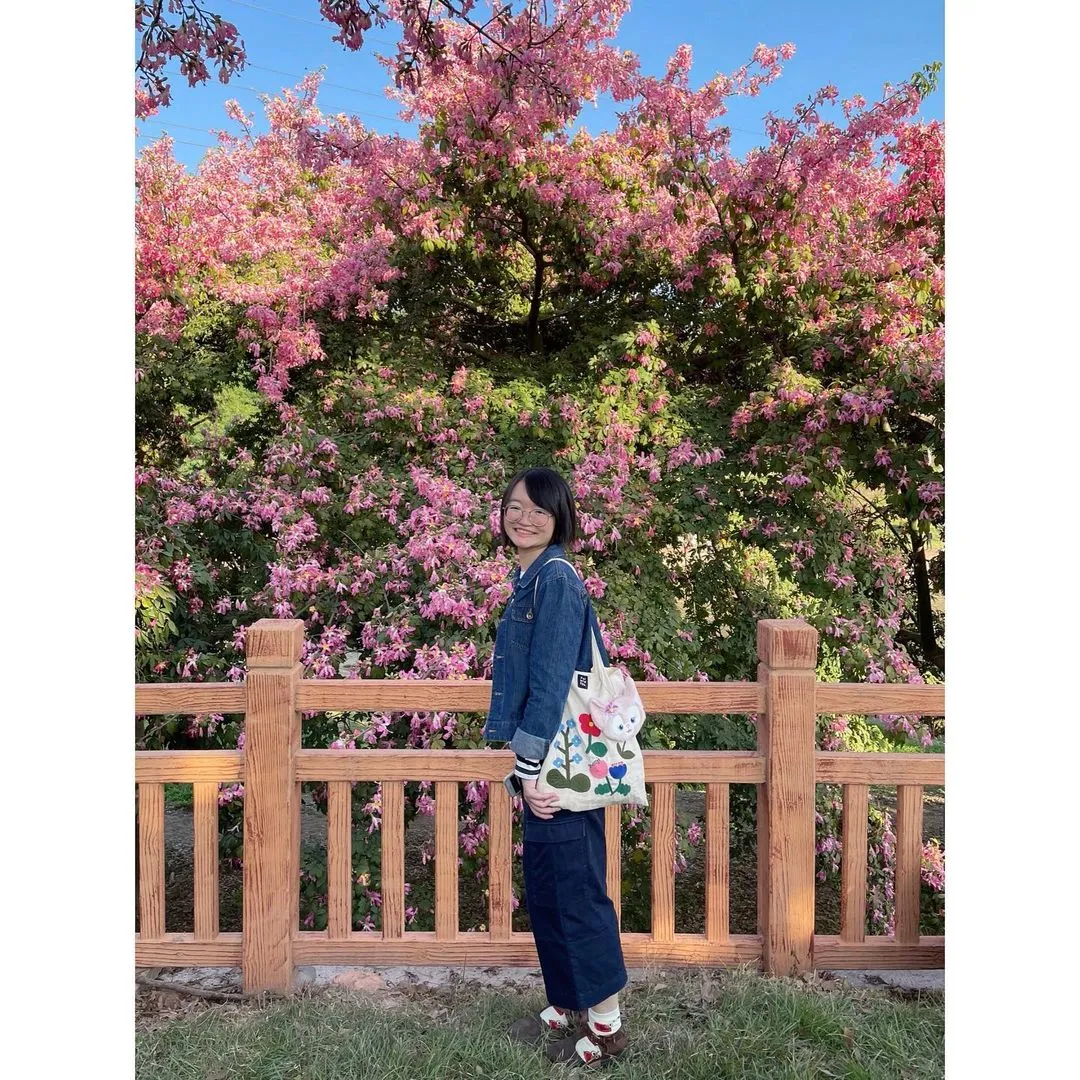 南国的冬天🌸🌸🌸～