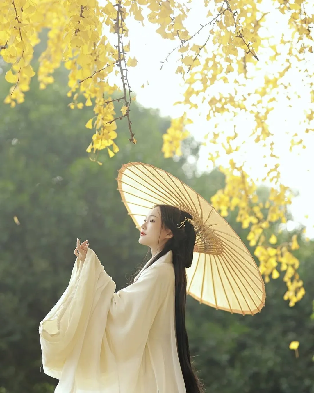 Hanfu in Jin Dynasty.

★Source: Xiaohongshu App
  636652474
★If there is any infringement, contact to
  delete it immediately 
★Thanks for your support

#hanfu #China #Chinesestyle #culture #hanfu_challenge #hanfu_isnot_hanbok #汉服 #中華风 #古典藝術 #中國文化 #漢服 #漢服チャレンジ #ChineseGirls #中国文化 #中国汉服 #fashion#clothing#makeup#travel  #traditionalChineseclothes#traditionalChineseculture#hanfugirl #汉服小姐姐 #faceplay #Chinesehistory 中国历史#traditionalculture 传统文化#traditionalclothing 传统服饰#chineseclothing中国衣服 #民族服饰