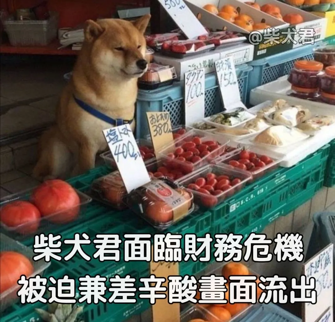 -
謝謝大家~最近粉絲成長飛快！
-
免責聲明：本網站展示運用素材之內容，著作權與版權歸原作者所有，若有任何不妥會立即撤下圖片。
-
#梗圖 #搞笑 #joke #meme#柴犬梗圖系列#likeforlikes #推特 #likeforlikeback #instagramdogs #日本犬#柴犬#funny#funnyanimals #shibainu #twitter#柴犬大好き #柴犬マニア#赤柴#shibanu #白柴#柴犬まる #胖狗#表情包#柴犬君貓狗梗圖#like4likes#shibalove