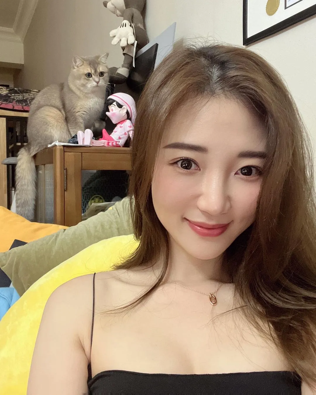 我的猫看上去有点傻