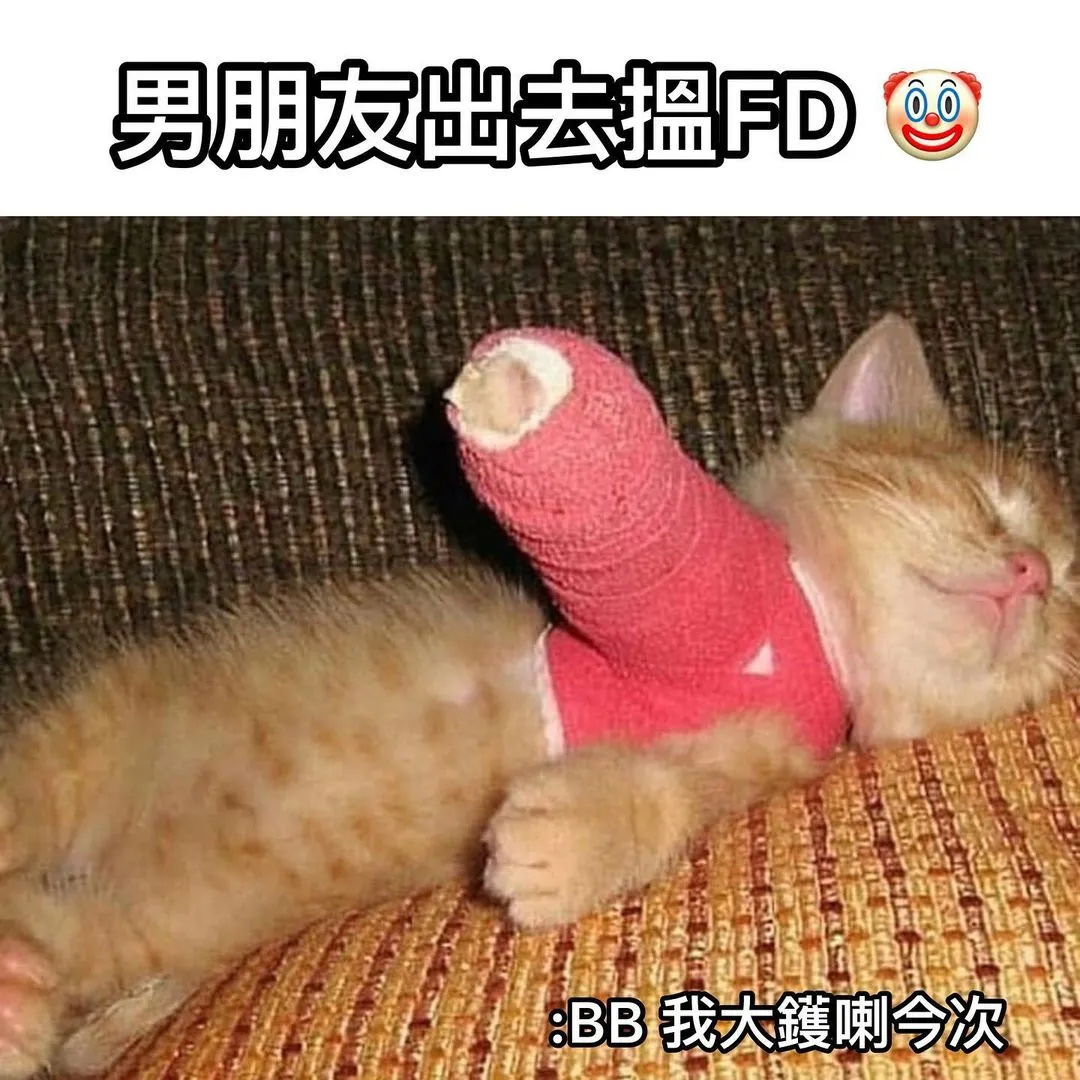 大鑊啦～ 自己一個🥲

🐱Follow @adorablecompany.hk
🐶Follow @adorablecompany.hk

.
.
.

圖片來源： 互聯網

#petmemesdaily #cat #dog #petmemes #cantonese #catlife #doglife #貓貓 #貓星人 #領養 #香港領養 #貓奴 #旺角美食 #銅鑼灣美食 #貓咪日常 #狗狗 #汪星人 #狗奴 #狗狗日常 #搞笑 #梗圖 #寵民 #貴婦狗之日常 #adorablecompany #hongkong #香港 #廣東話 #香港製造