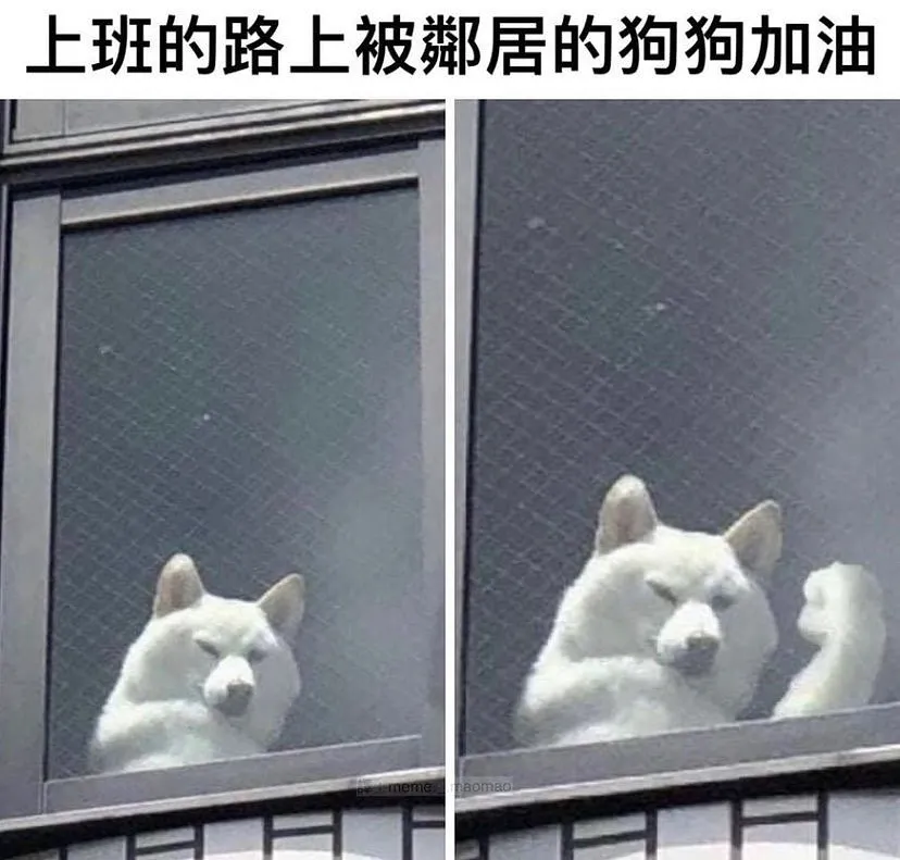 追蹤她 @memes__529453 
有你真好！🐶🐶🐶

「內容由網路轉載」

 #搞笑 #笑死 #開心 #幸福 #快樂 #愛情
 #台灣 #日本 #韓國 #旅行 #旅遊 #景點
 #女神 #男神 #告白 #分享 #背景 #音樂
 #互讚 #愛你 #笑話 #喜歡 #喜愛 #寵物
 #音樂 #音響 #跑車 #愛車 #路跑 #跳舞