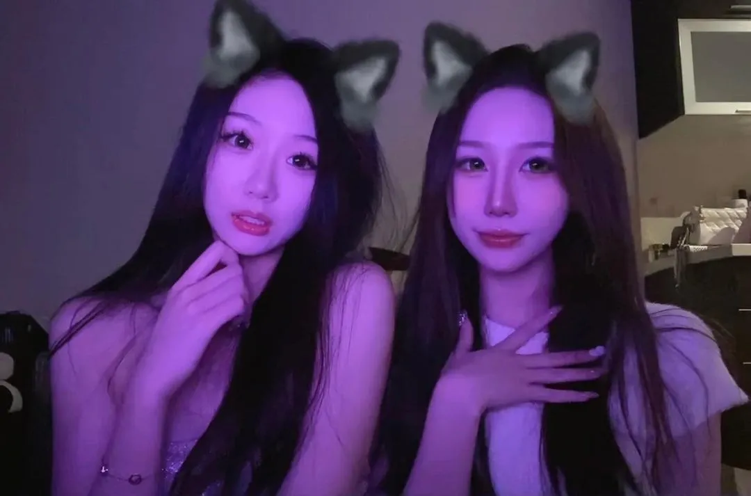 冬日暖心猫咪