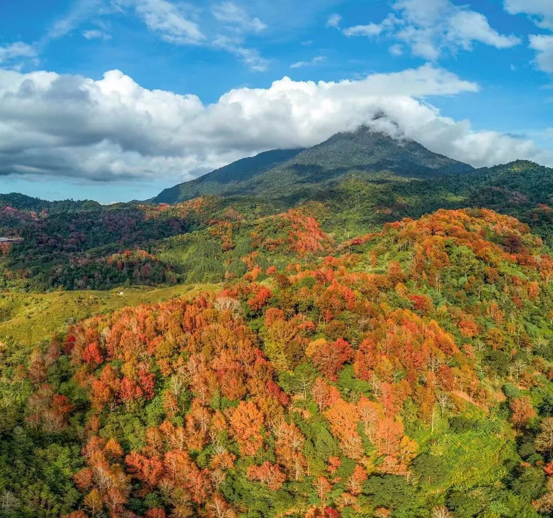 海南五指山#五指山 #海南#中国#china#hainan#hiking #hikingadventures #mountain #mountains #winter #red #redleaves #adventuretime #旅游 #旅游摄影 #旅游日记 #冒险 #海南岛 #五指山追焦 #航拍#travel #travelphotography #travelphoto