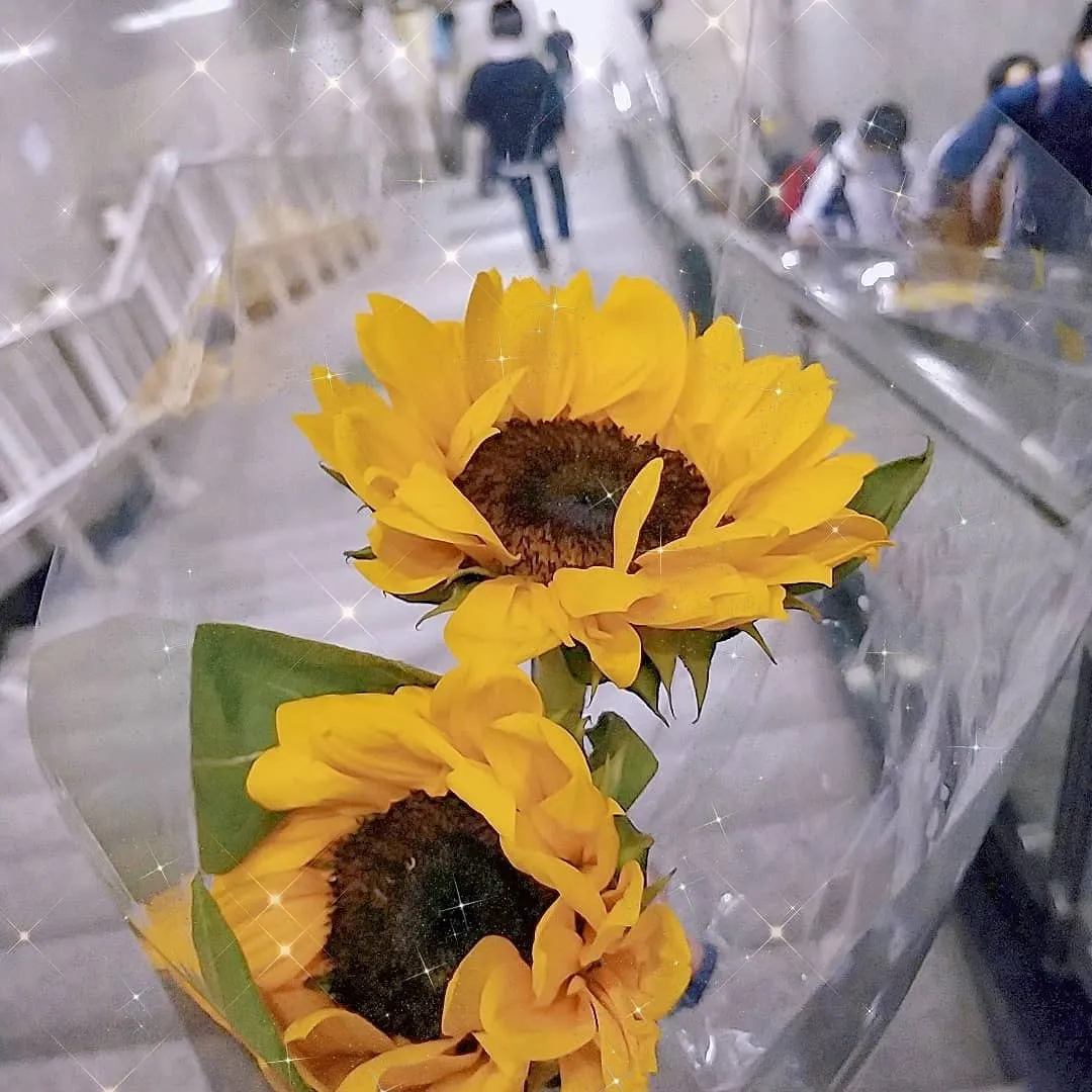 今日碎片