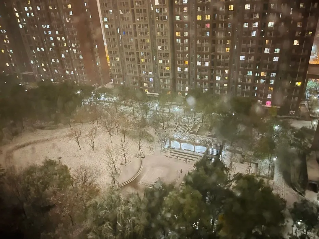 今年的生日赶上了初雪❄️